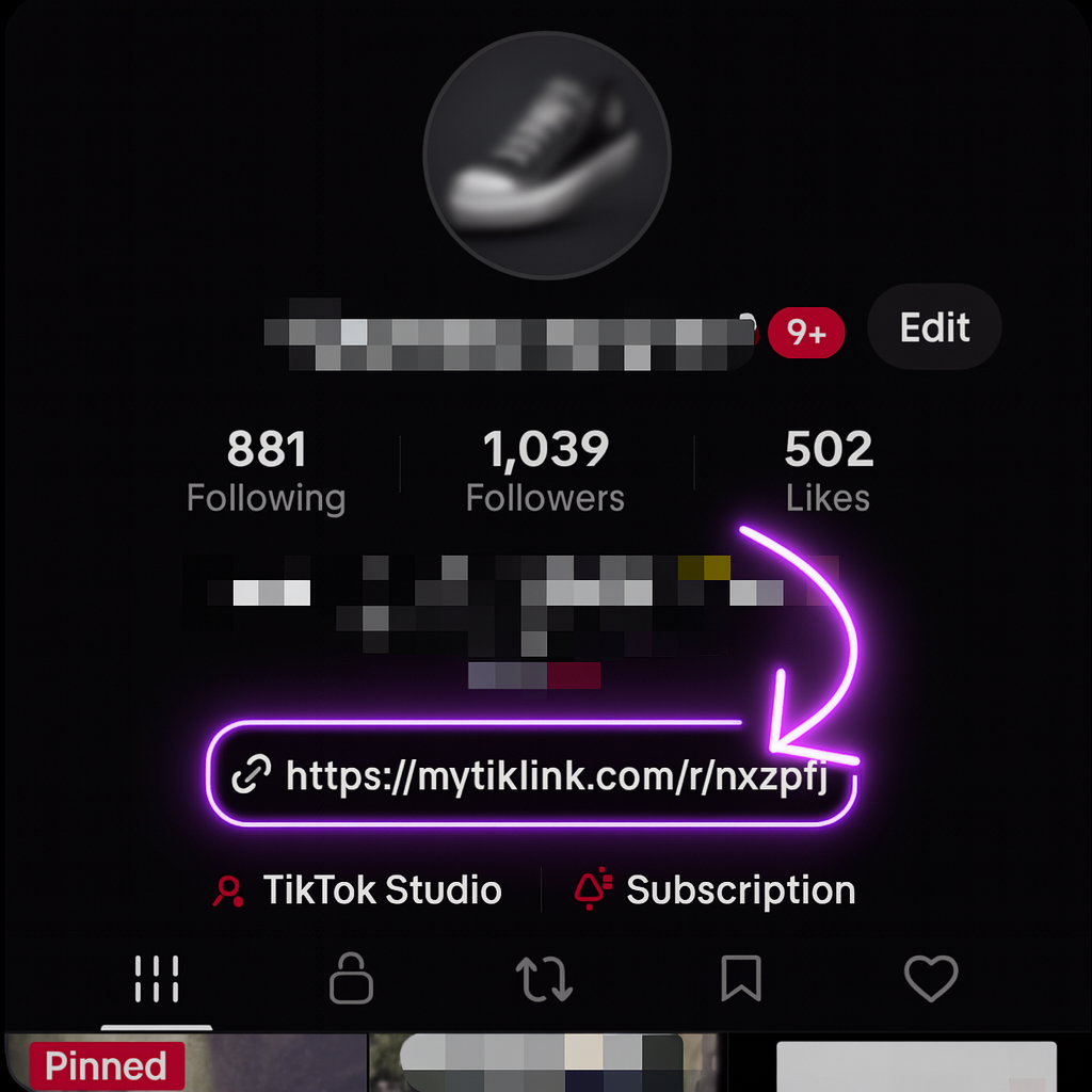 Add to TikTok bio